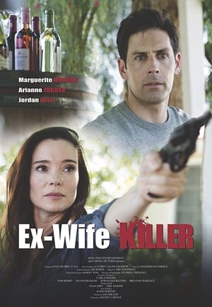 Ex-Wife Killer (2017) Hindi Dual Audio [930MB]